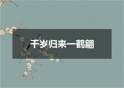 千岁归来一鹤翩