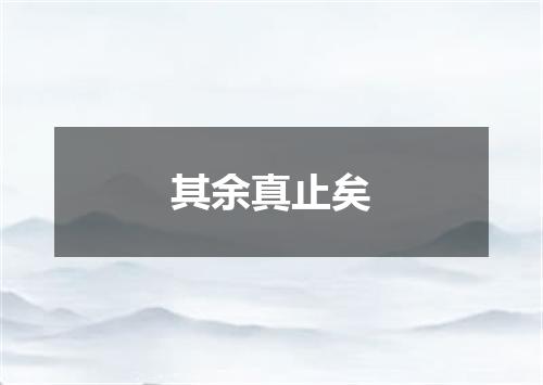 其余真止矣