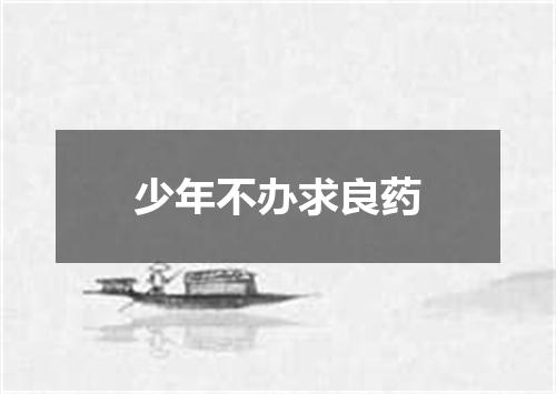 少年不办求良药