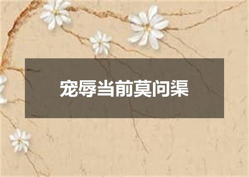 宠辱当前莫问渠