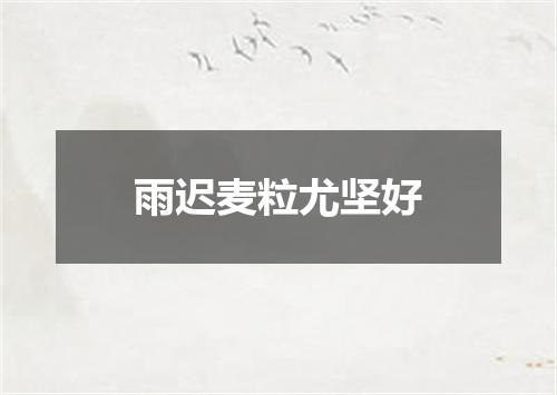 雨迟麦粒尤坚好