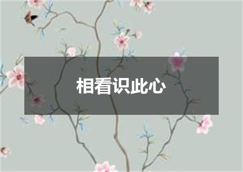 相看识此心