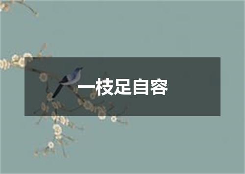 一枝足自容