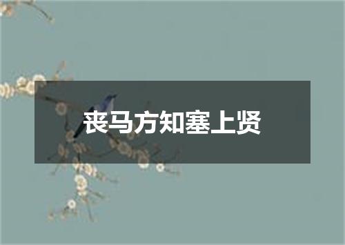 丧马方知塞上贤