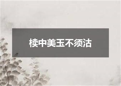 椟中美玉不须沽