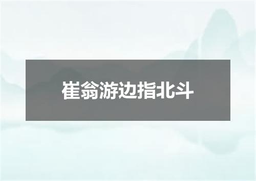 崔翁游边指北斗