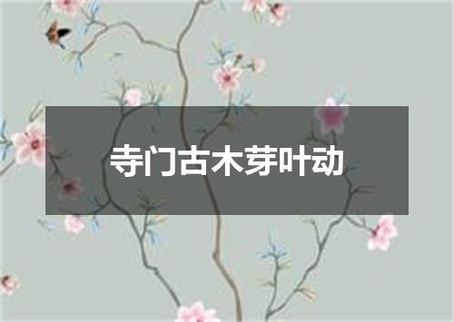 寺门古木芽叶动