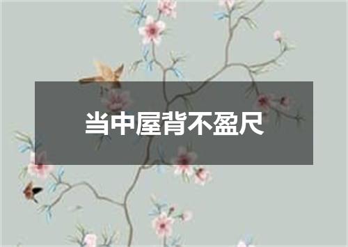 当中屋背不盈尺