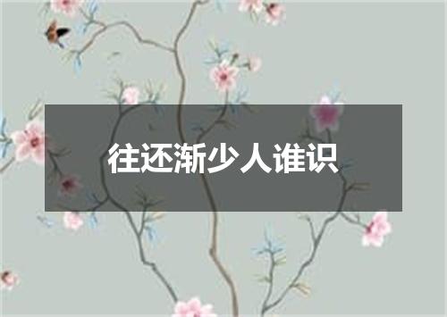 往还渐少人谁识