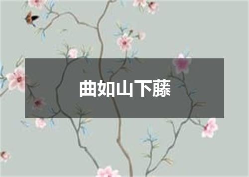 曲如山下藤
