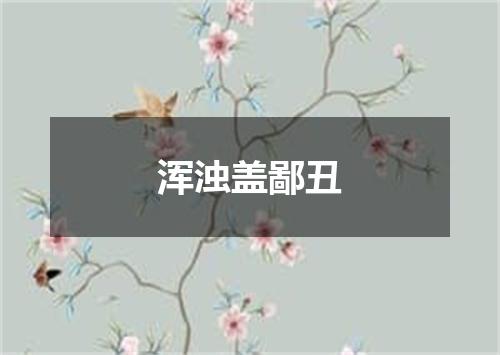 浑浊盖鄙丑
