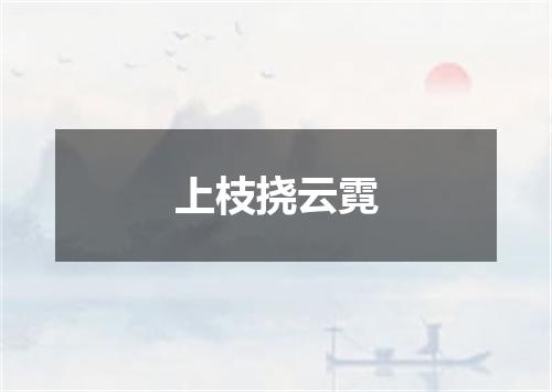 上枝挠云霓