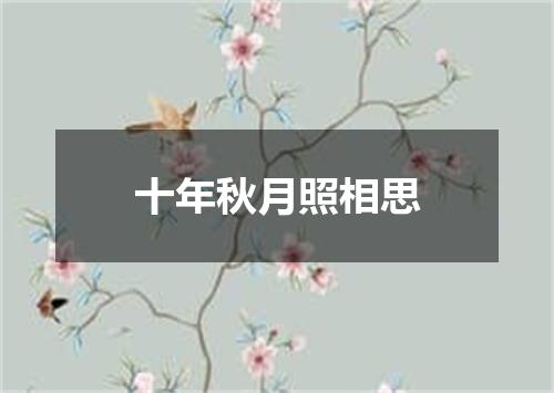 十年秋月照相思