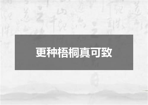 更种梧桐真可致