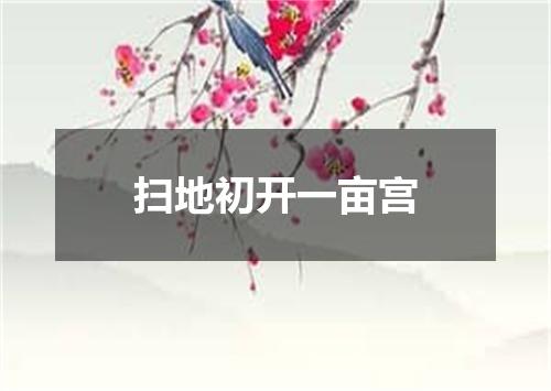 扫地初开一亩宫