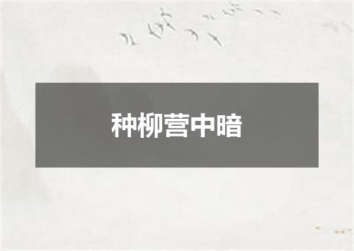 种柳营中暗