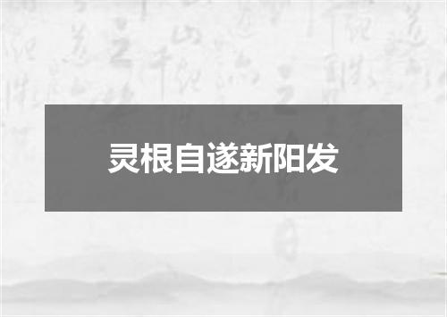 灵根自遂新阳发