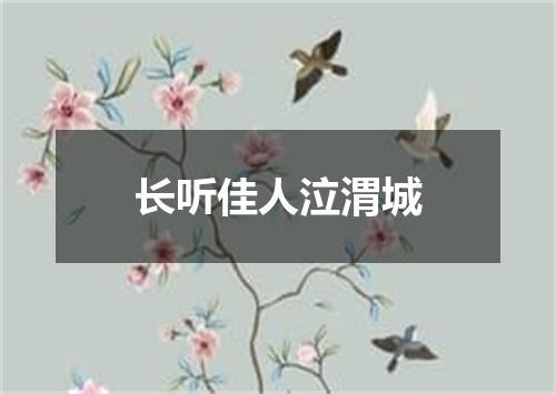 长听佳人泣渭城