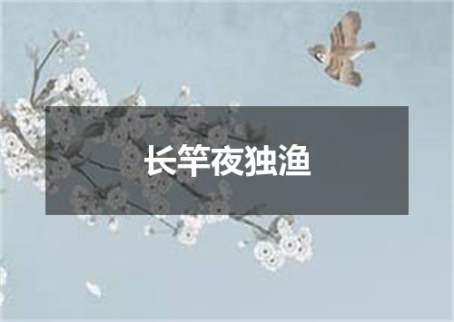 长竿夜独渔