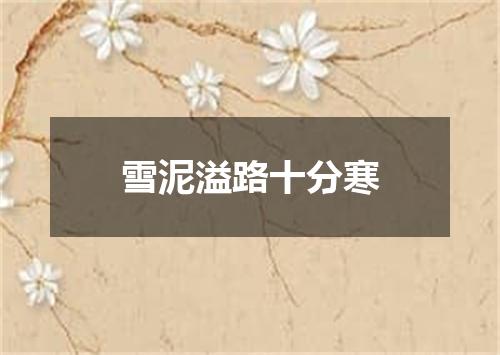 雪泥溢路十分寒