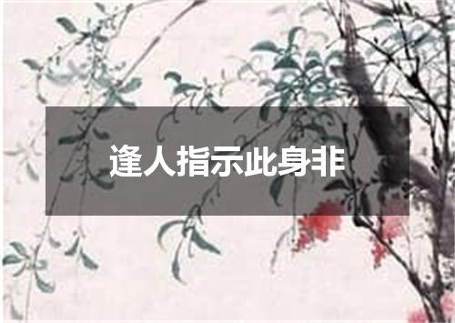 逢人指示此身非