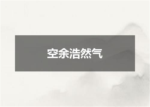 空余浩然气