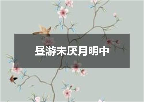 昼游未厌月明中