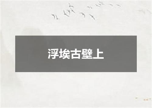 浮埃古壁上