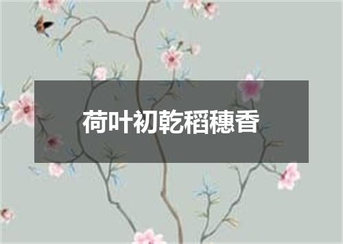 荷叶初乾稻穗香