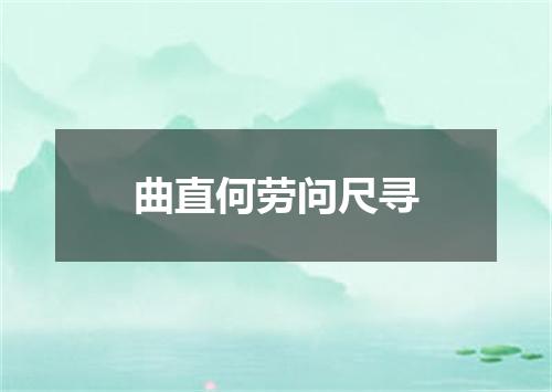 曲直何劳问尺寻