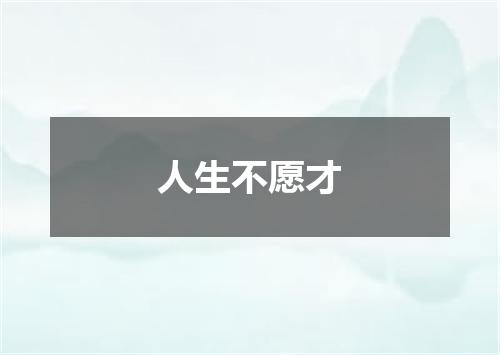 人生不愿才