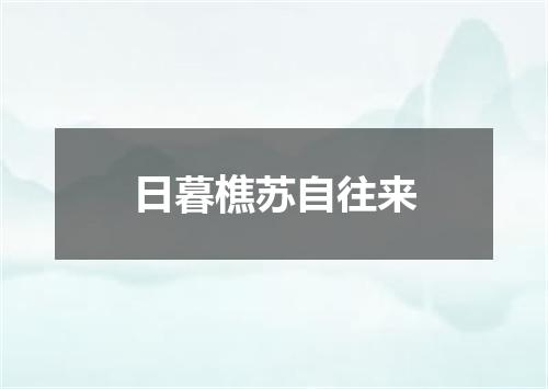 日暮樵苏自往来