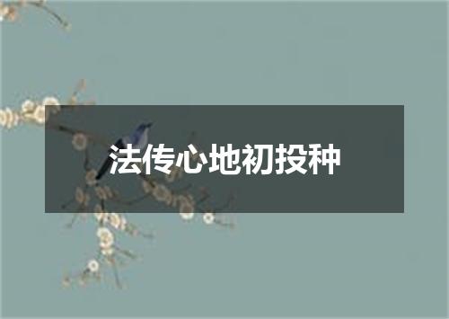 法传心地初投种