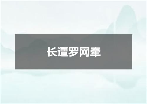 长遭罗网牵