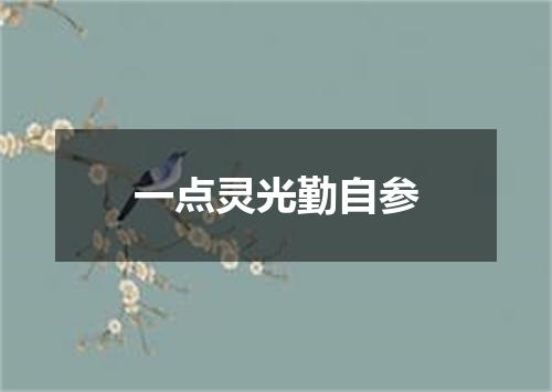 一点灵光勤自参