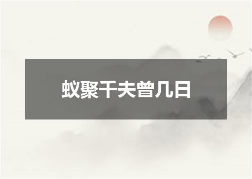 蚁聚千夫曾几日