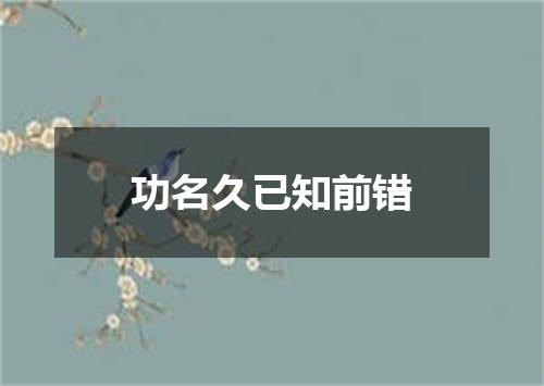 功名久已知前错