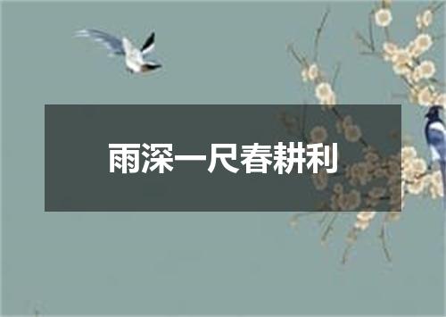 雨深一尺春耕利