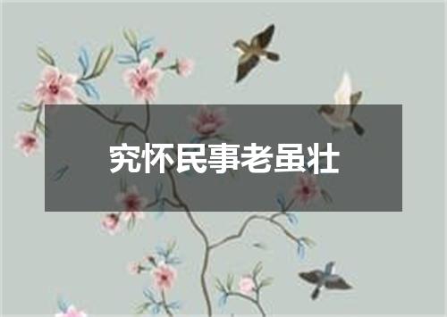 究怀民事老虽壮