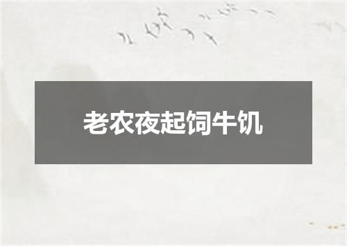 老农夜起饲牛饥