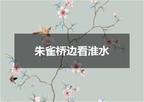朱雀桥边看淮水
