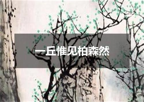 一丘惟见柏森然
