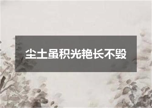 尘土虽积光艳长不毁
