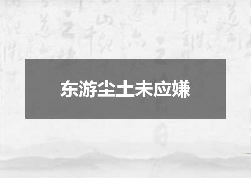 东游尘土未应嫌