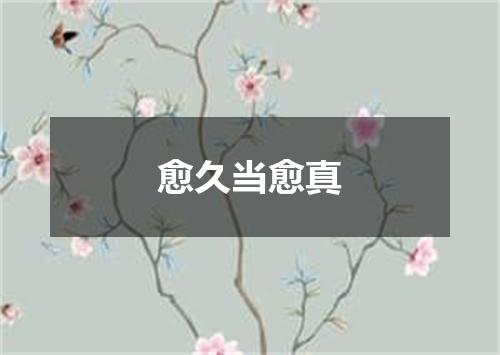 愈久当愈真