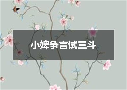 小婢争言试三斗