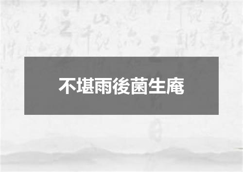 不堪雨後菌生庵