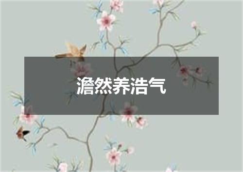 澹然养浩气