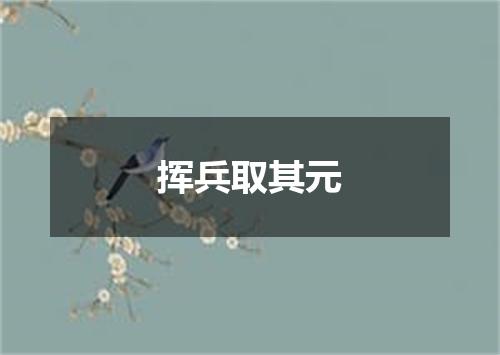 挥兵取其元
