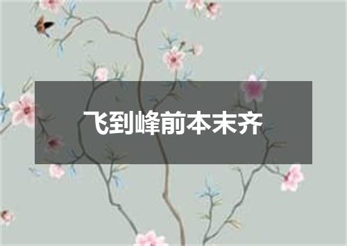 飞到峰前本末齐